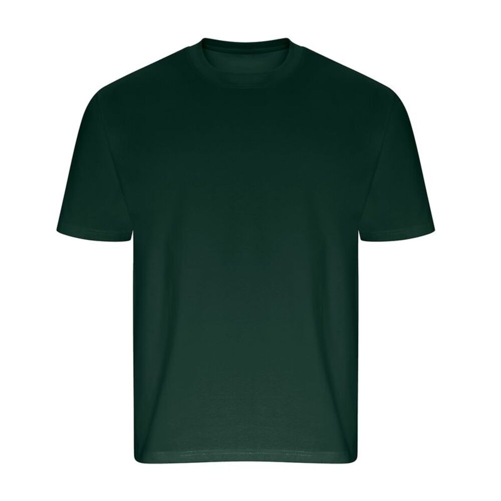 Ecologie Unisex Adult Arrow Heavy Oversized T-Shirt / Green
